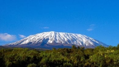 London leading chefs climb Kilimanjaro for charity